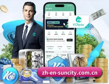 太阳城集团 APP 深度功能